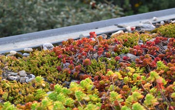the cost of Burton Bradstock green roof installation