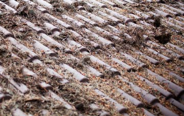 Burton Bradstock roof cleaning companies