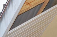 rated Burton Bradstock soffit repair companies